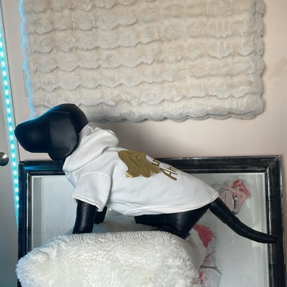 Spooky night little angle costume for dogs NWOT so cute good and white and wings
